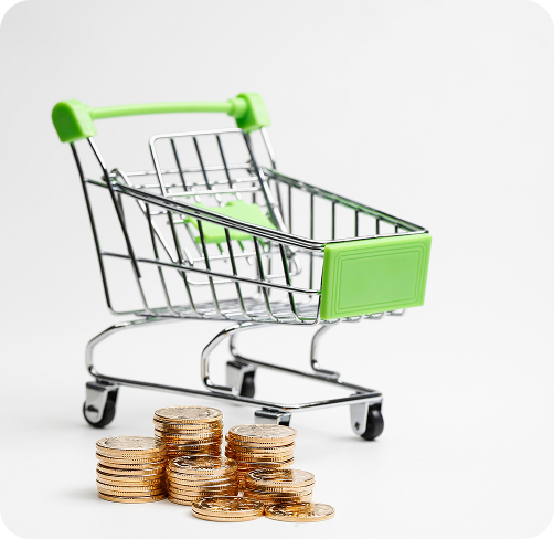 Кейс по разработке сайта Gross Aqua